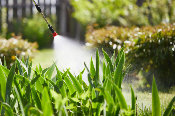 24/7 Emergency Cockroach Control experts in Columbia, MO