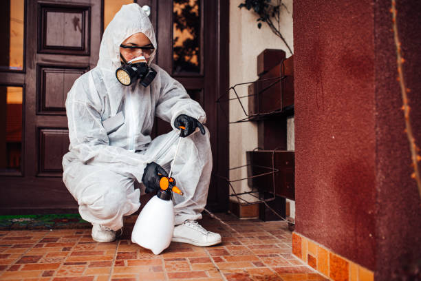Reliable Cockroach Control contractor in Columbia, MO by Nex Pest Control